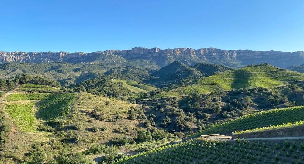 Montsant Mas Doix Priorat DOQ Priorat