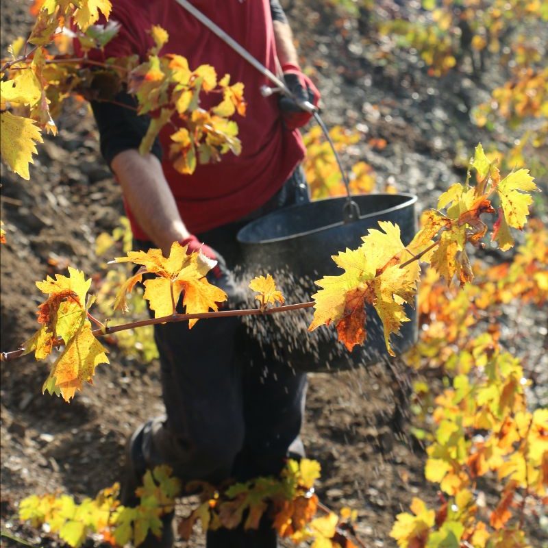 2cd52825-be5b-1c3b-af99-b4d323eacd88