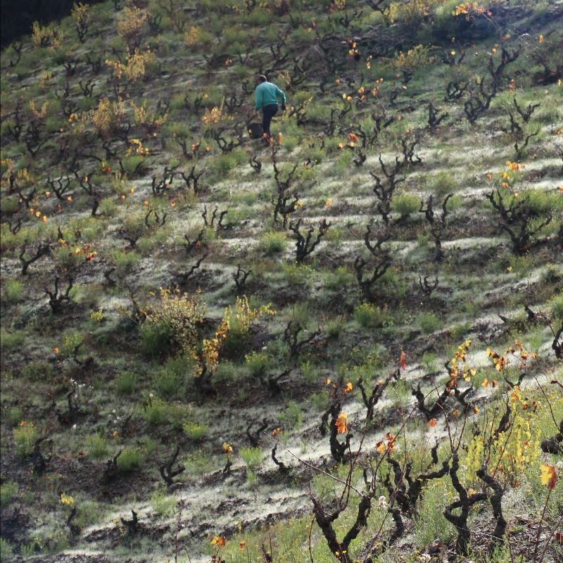 3d56514b-ec90-9a30-9a57-ab6300418778