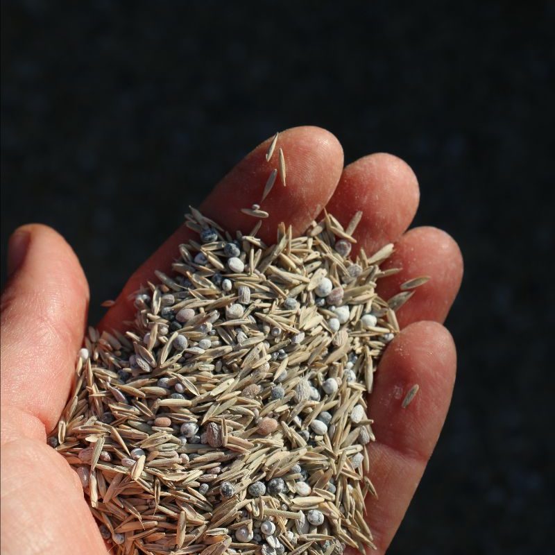 f6222bf1-0957-0966-575a-0ecbad0cde93