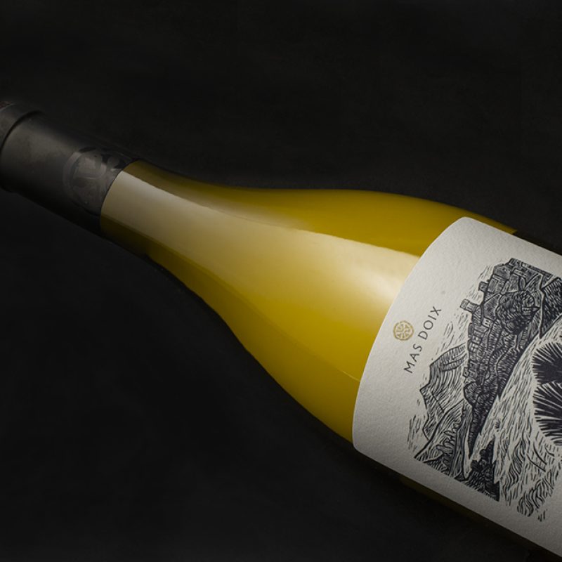 Murmuri 2024 persp (72 dpi)